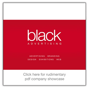 Company Showcase - PDF version